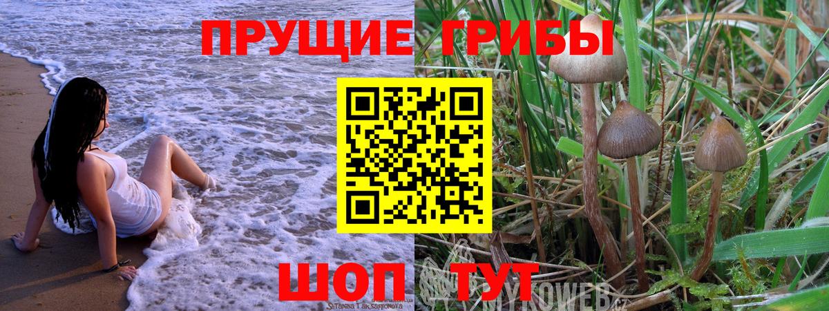 Псилоцибиновые грибы MAGIC MUSHROOMS Красногорск