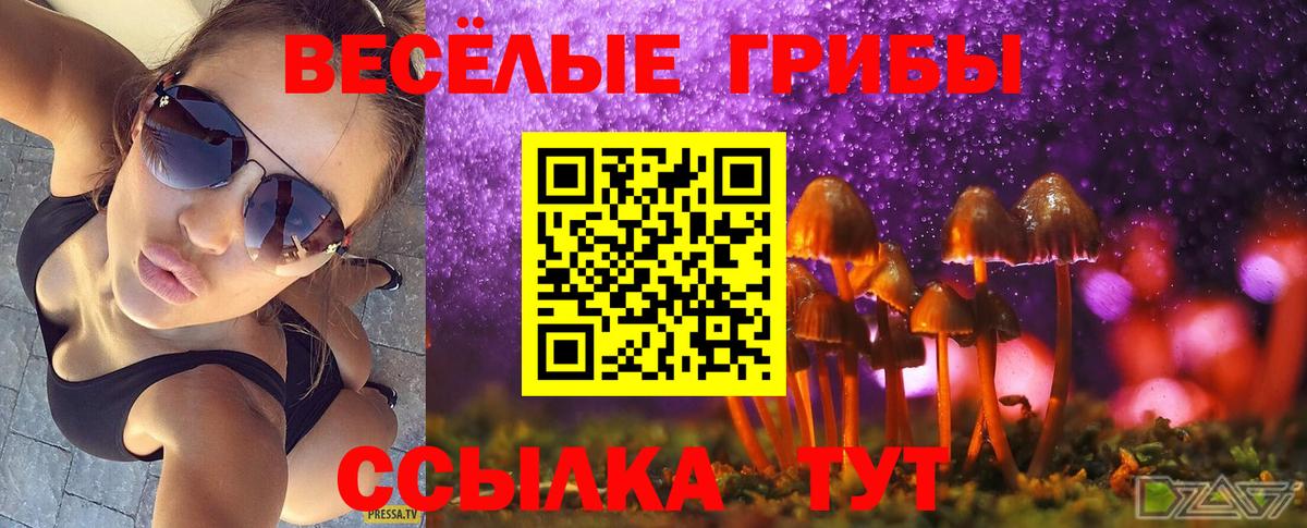 Псилоцибиновые грибы Psilocybine cubensis  Вход с VPN  Красногорск  Псилоцибиновые грибы ЛСД 