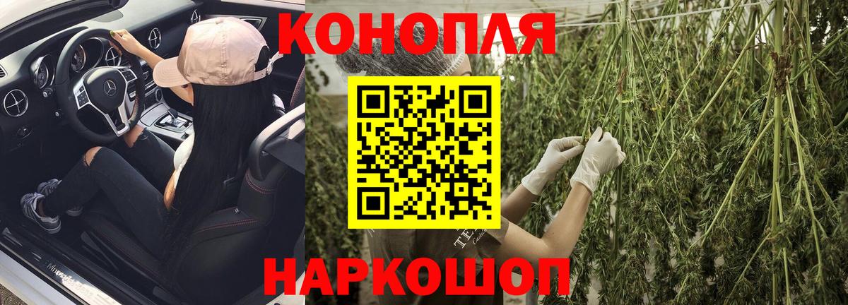Бошки марихуана конопля Красногорск